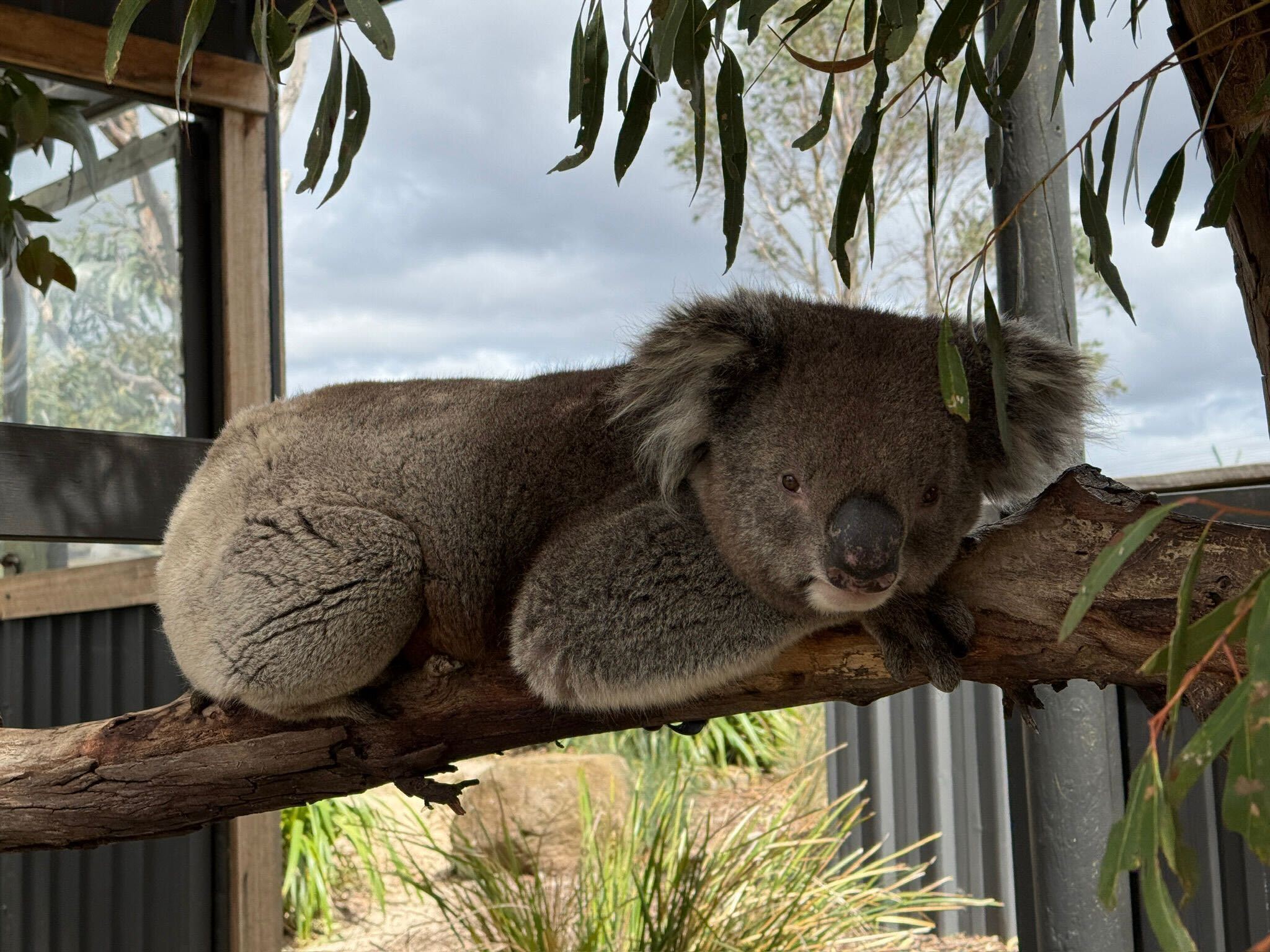 9C6d3c8f 7A92 4Fa2 836A 1700F7397a4a