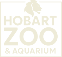 Hobart Zoo And Aquarium Logo Stone